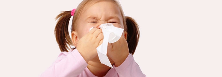 Chiropractic Kansas City MO Allergy Elimination Chiropractic Kansas City MO Allergy Elimination